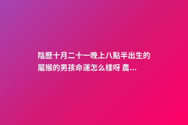 陰歷十月二十一晚上八點半出生的屬猴的男孩命運怎么樣呀 農(nóng)歷2008年十月二十一出生叫李怡然名字好不好-第1張-觀點-玄機派